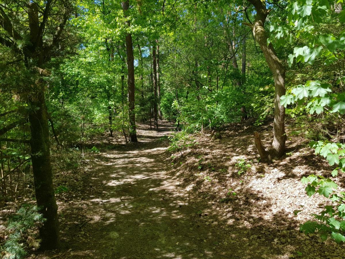 Bungalow Hartje Veluwe Otterlo Zewnętrze zdjęcie