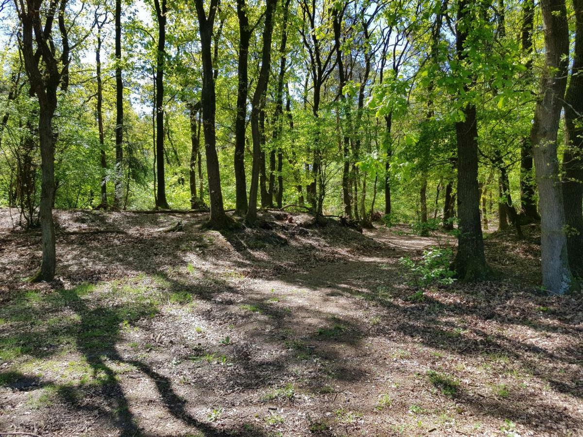 Bungalow Hartje Veluwe Otterlo Zewnętrze zdjęcie