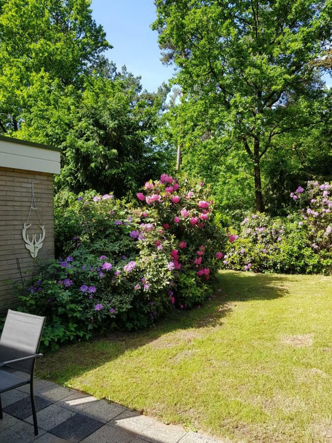 Bungalow Hartje Veluwe Otterlo Zewnętrze zdjęcie